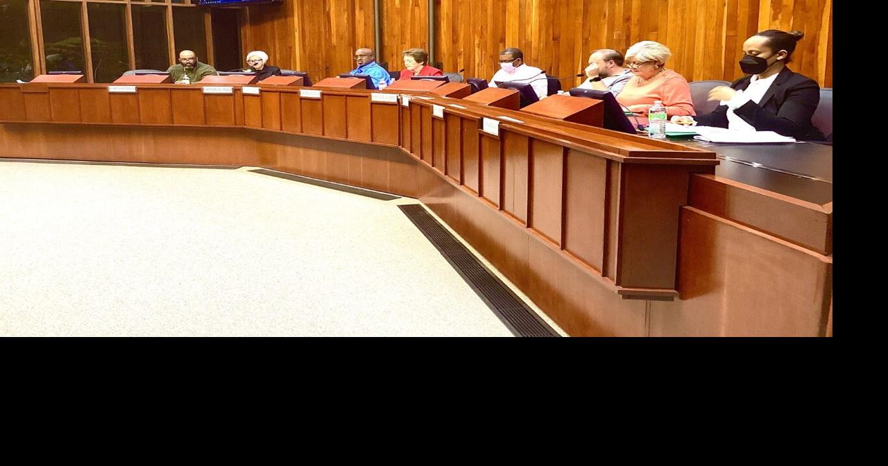 Despite community objections, Greensboro zoning commission votes to approve Airbnb ordinance