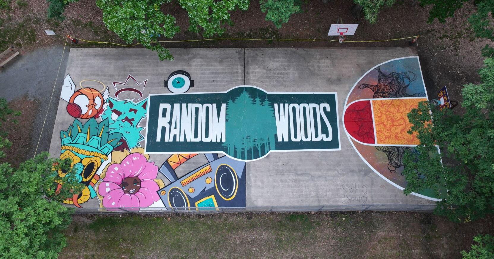 Creative Greensboro Residency Program Brings New Art to Mill District and Random Woods - Vimarsana News