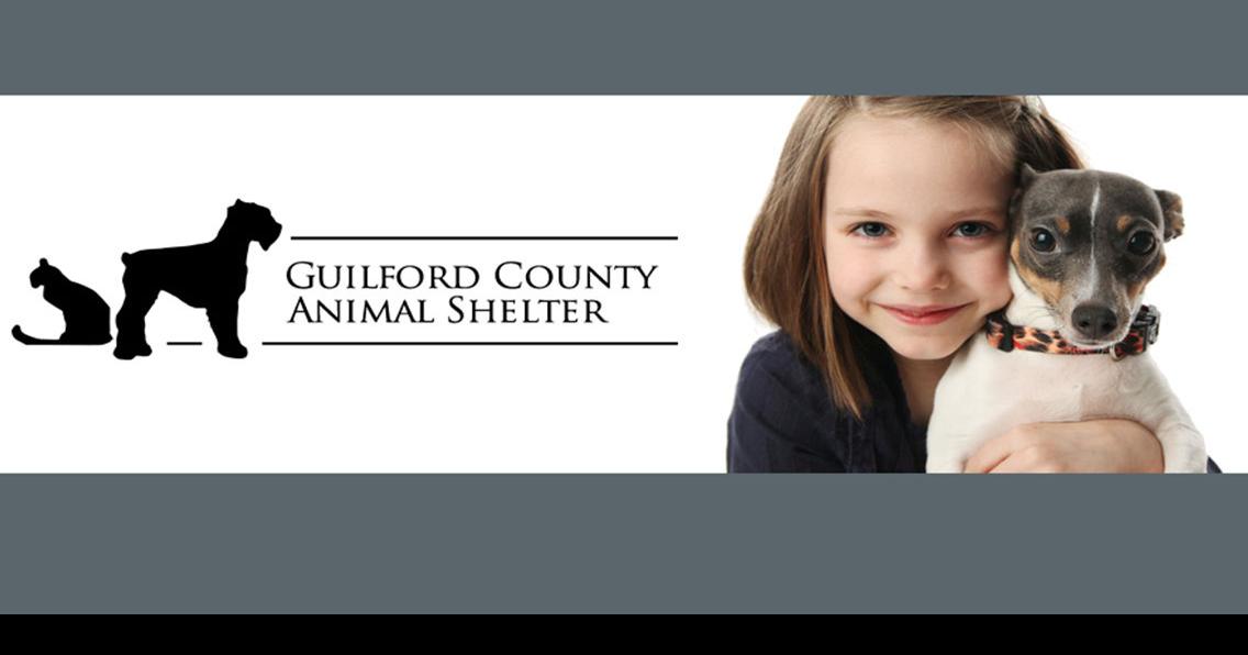 Guilford County Animal Services - We are reaching out to our wonderful  community for help with a towel shortage here at GCAS! We use towels for  EVERYTHING here at the shelter from