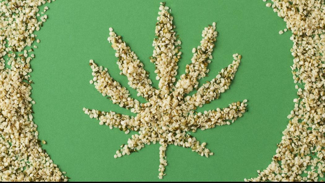 North Carolina S First Hemp Processing Facility To Open In