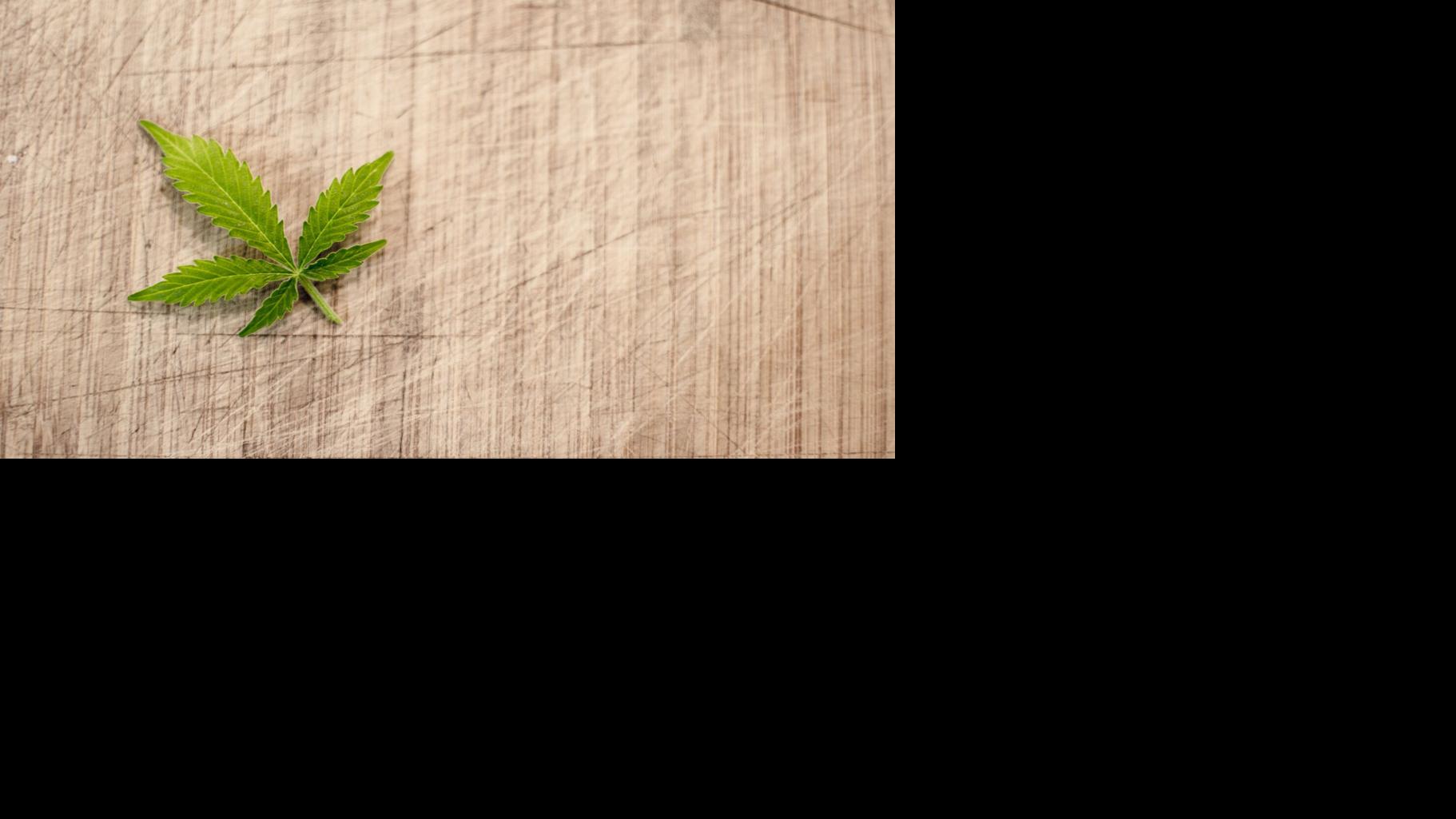 Television Display Host and Vacation Author Rick Steves to Chair NORML’s Board of Directors | Hashish