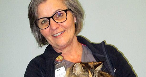 Spaying and neutering are wise choices anytime - Vimarsana News