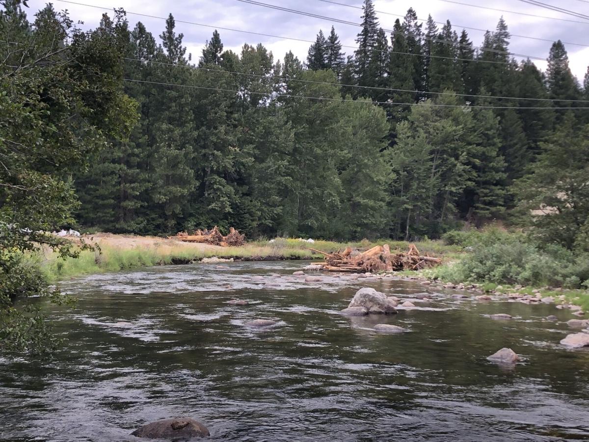 Chelan County creek sees habitat restoration for fish Columbia Basin