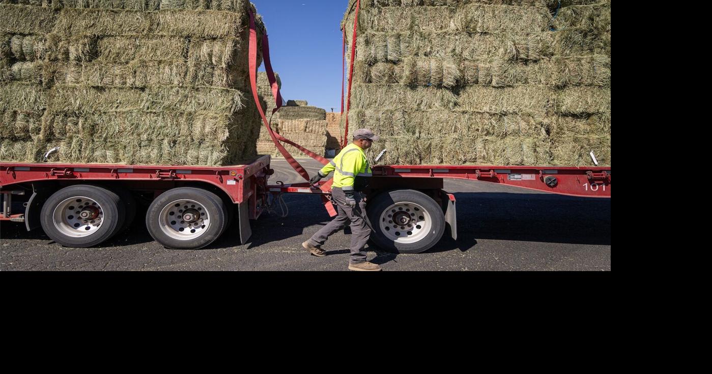 Judge Lets Bankrupt Anderson Hay Pay Farmers — For Now | Columbia Basin ...