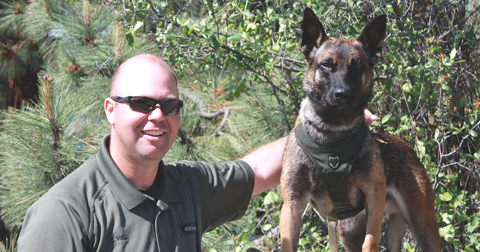 K9 Edo tracks down 15-year-old burglary suspect near Moses Lake ...