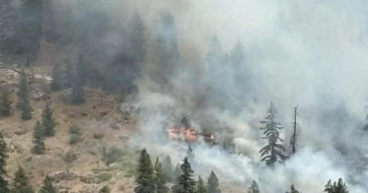 Missing Teen Hiker Found Amidst Lake Chelan Wildfire Chaos | Columbia Basin - Vimarsana News