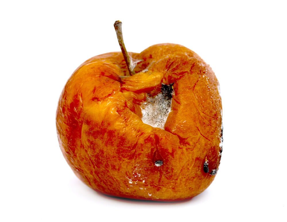 6777065602a6c.image.jpg?crop=