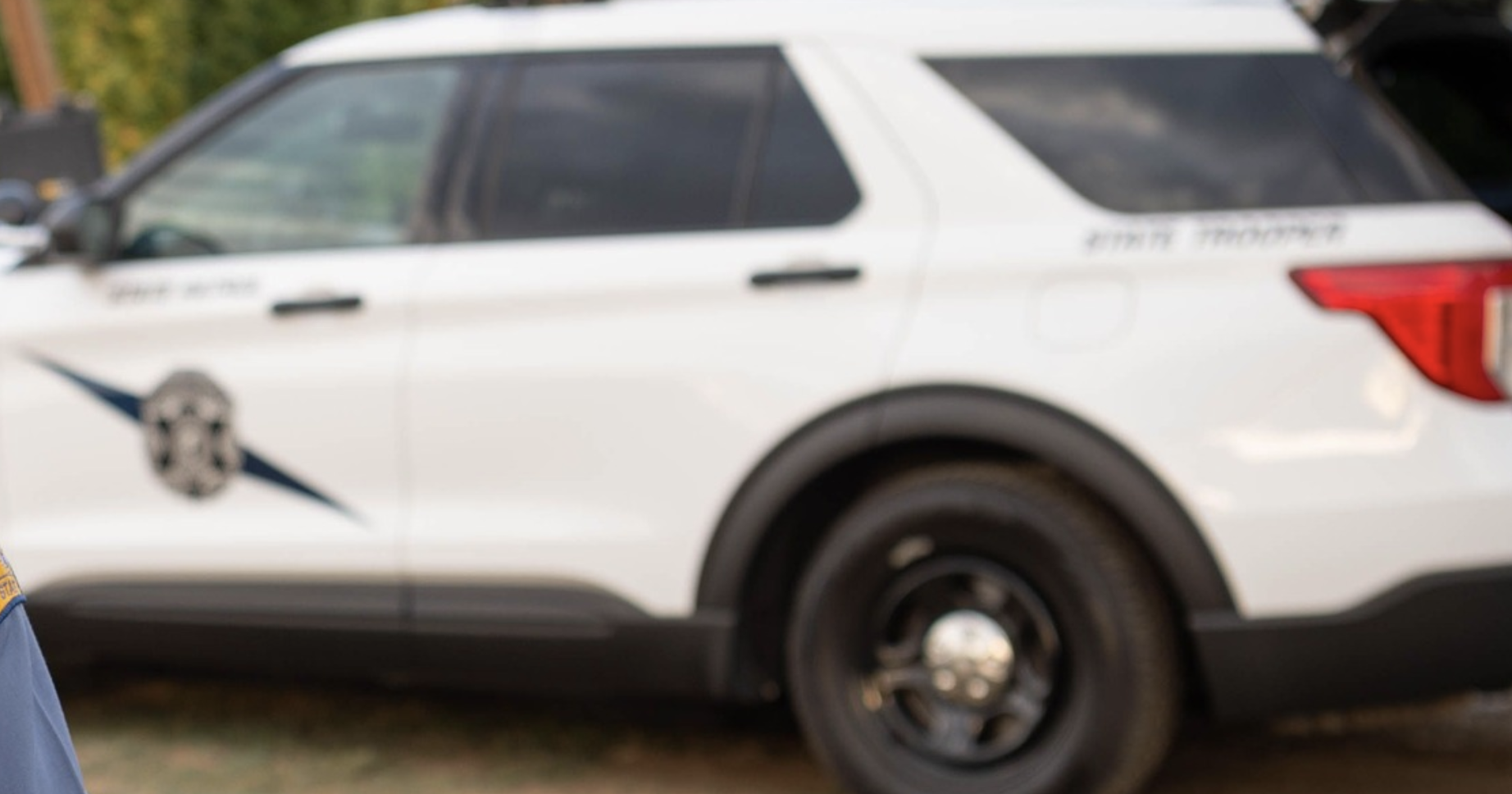 Driver injured after hitting deer south of Chelan - Vimarsana News
