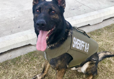 K9 Zedd Nabs Domestic Violence Suspect in Moses Lake | Columbia Basin ...