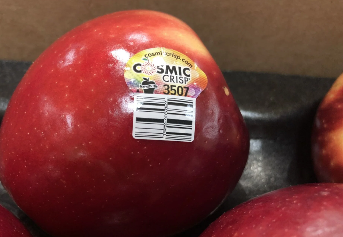 Cosmic Crisp ® Apples: Red Rich Fruits secures exclusive Australian rights