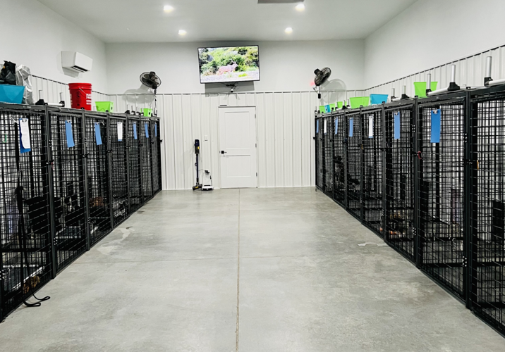 Moses Lake's Country Kennels guarantees 'peace of mind' for pet owners