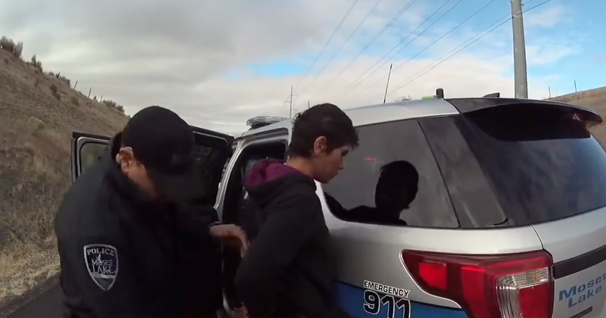 Woman pleads guilty in October police pursuit of stolen car through ...