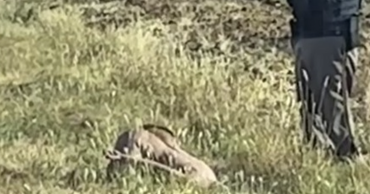 Sex doll mistaken as dead body near Warden | Columbia Basin | yoursourceone.com Sex doll mistaken as dead body near Warden | Columbia Basin | yoursourceone.com