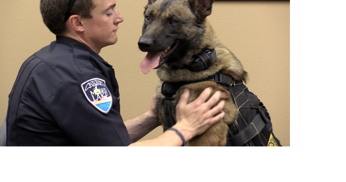 Moses Lake police introduce their second patrol K9 Columbia Basin