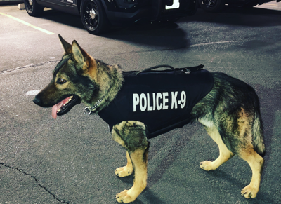 es un perro k9 un oficial de policia