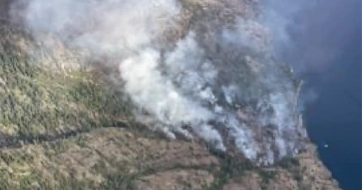 Pioneer Fire Grows to 600 Acres | Columbia Basin - Vimarsana News