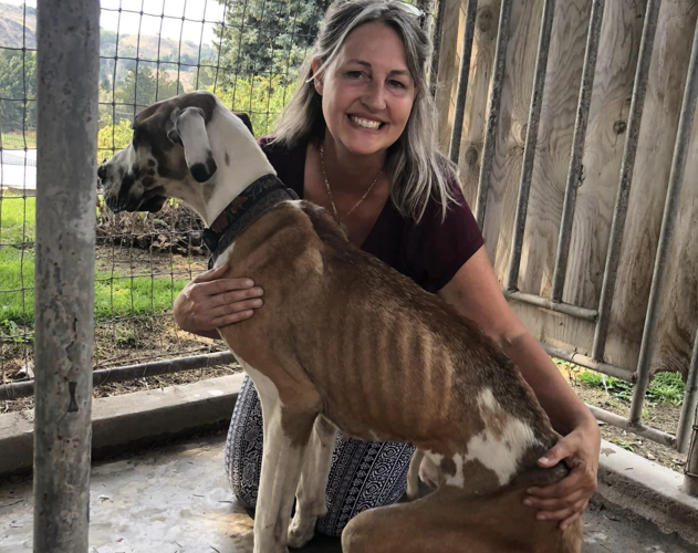 Emaciated dog rescued by Okanogan County woman | Columbia Basin ...