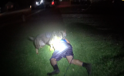 K9 Chief takes bite out of fleeing suspect in Ephrata | Columbia Basin ...