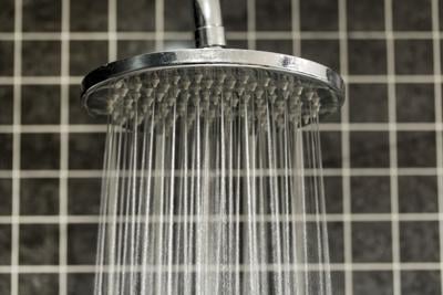 Filtered showerheads