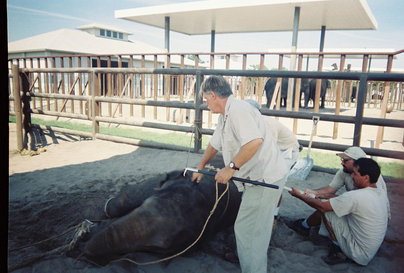 Animal Rights Advocates Concerned About Upcoming Circus Show Newsarchives Yoursun Com