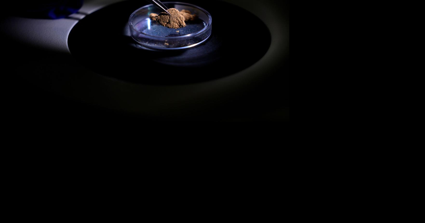 Brazil uses forensic science to trace gold's origin and tackle illegal mining in the Amazon