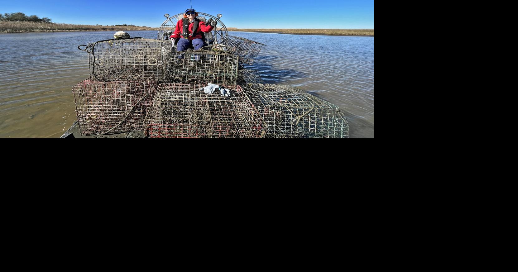 Collect traps, win prizes | The Daily Sun | yoursun.com