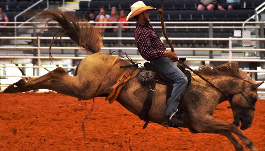 Cowhead Rodeo Cattleman's Ranch Rodeo at Mosaic Arena, cowboy up! Priscilla McDaniel ...