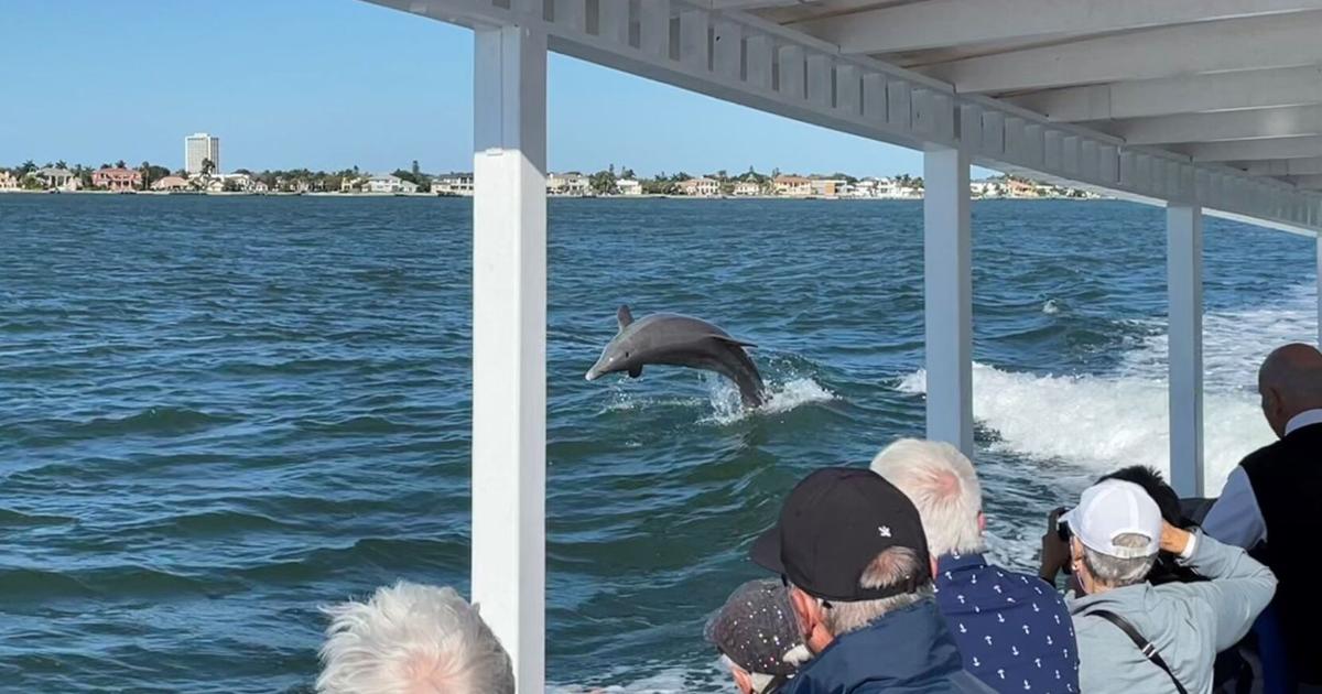 Navegando desde Selby a Spanish Point por vía fluvial | arte y Entretenimiento Navegando desde Selby a Spanish Point por vía fluvial | arte y Entretenimiento