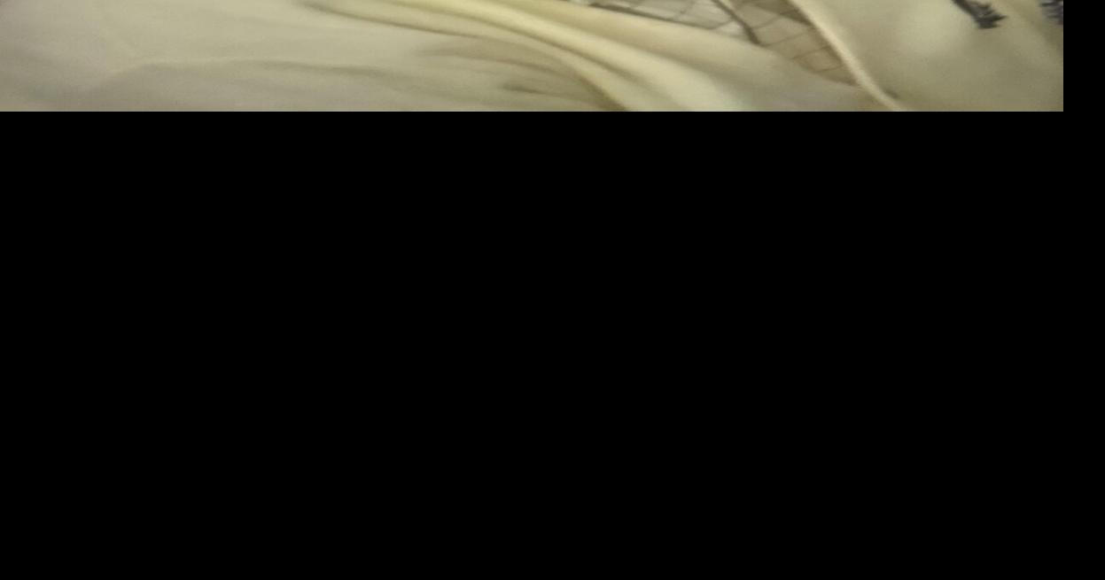 Frank William Zimmer Obituaries