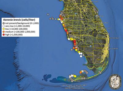 Red tide map