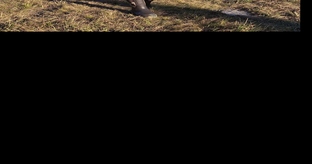 WATERLINE: Florida black bear hunt exposes emotional divisions among animal rights activists, hunters