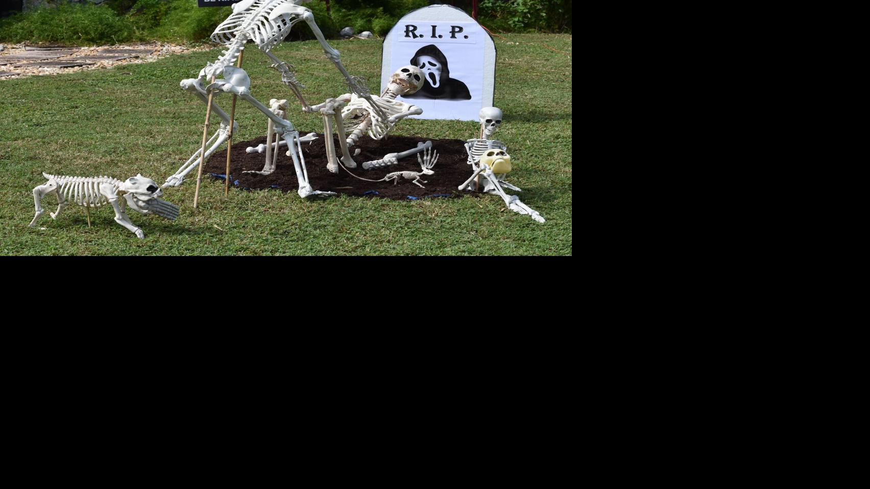 As If 2020 Isn T Scary Enough Halloween Events Are Scheduled Across The Area News Yoursun Com