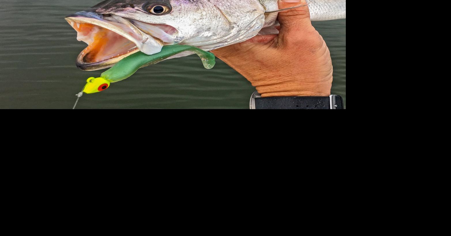 Soft plastics for trout Waterline