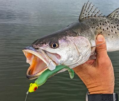 Soft plastics for trout, Waterline