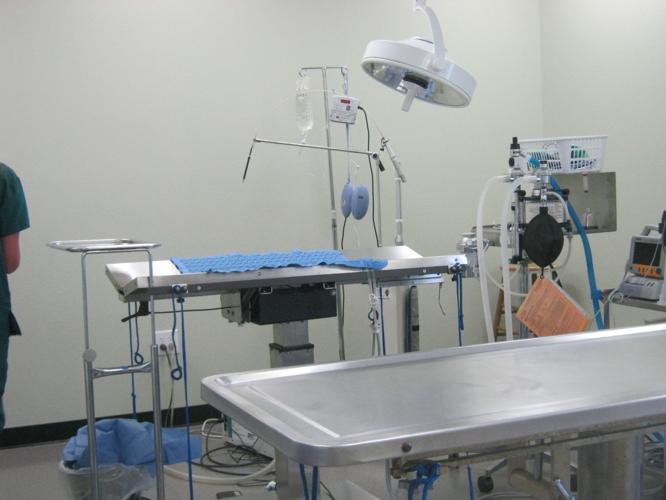 New local vet specializes in spinal surgery News Archives