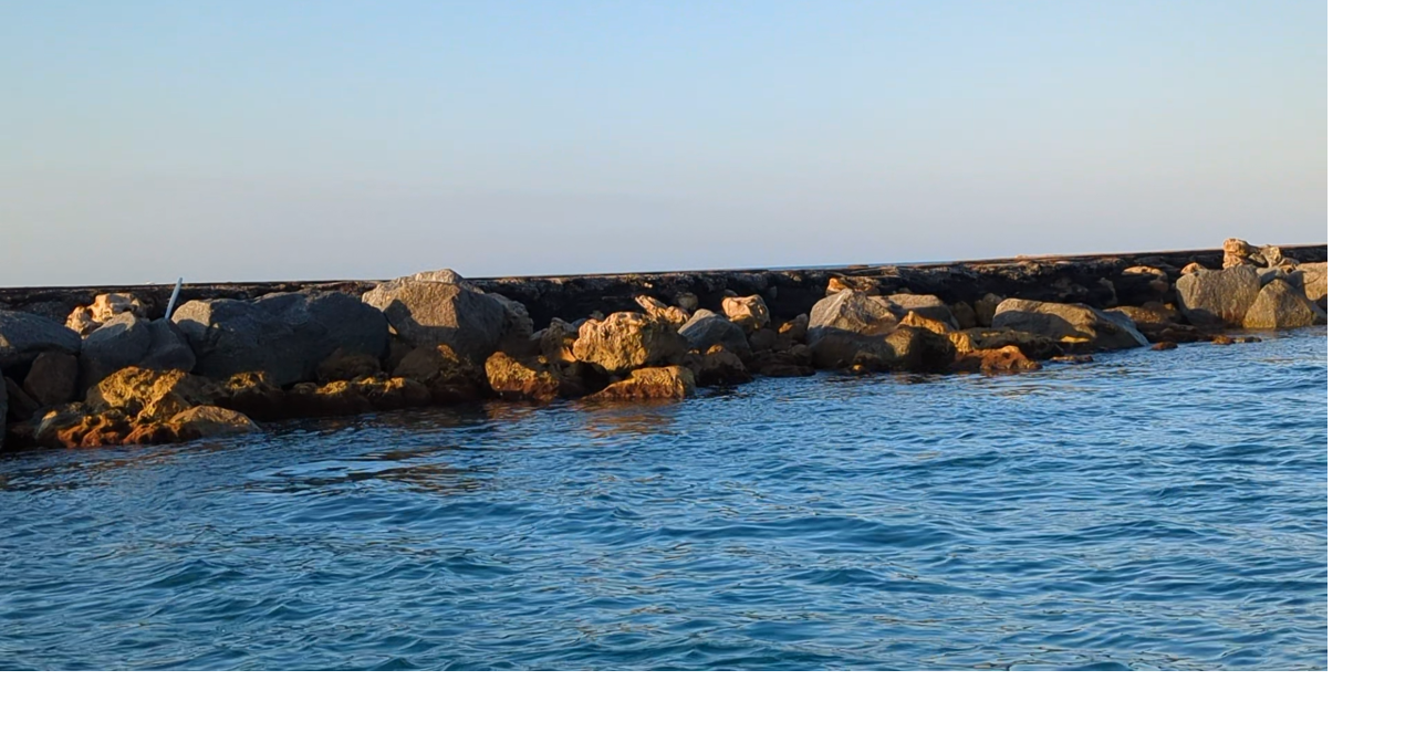 PXL_20260328_121222519.TS.mp4