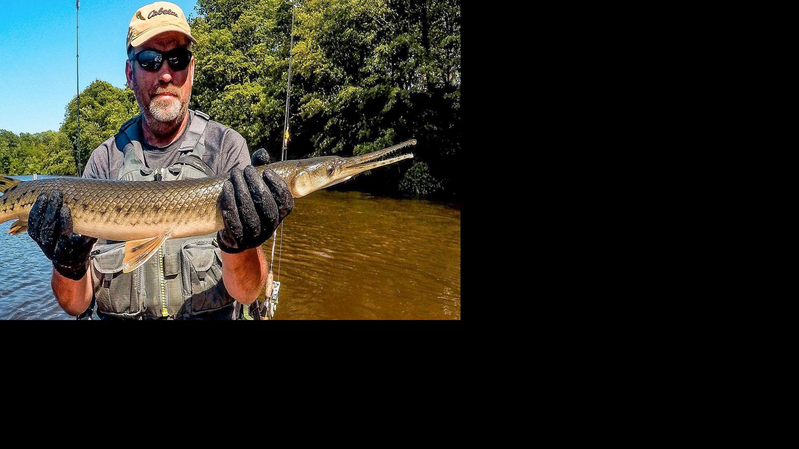 Try something different: Playing with needle-toothed gar | Waterline