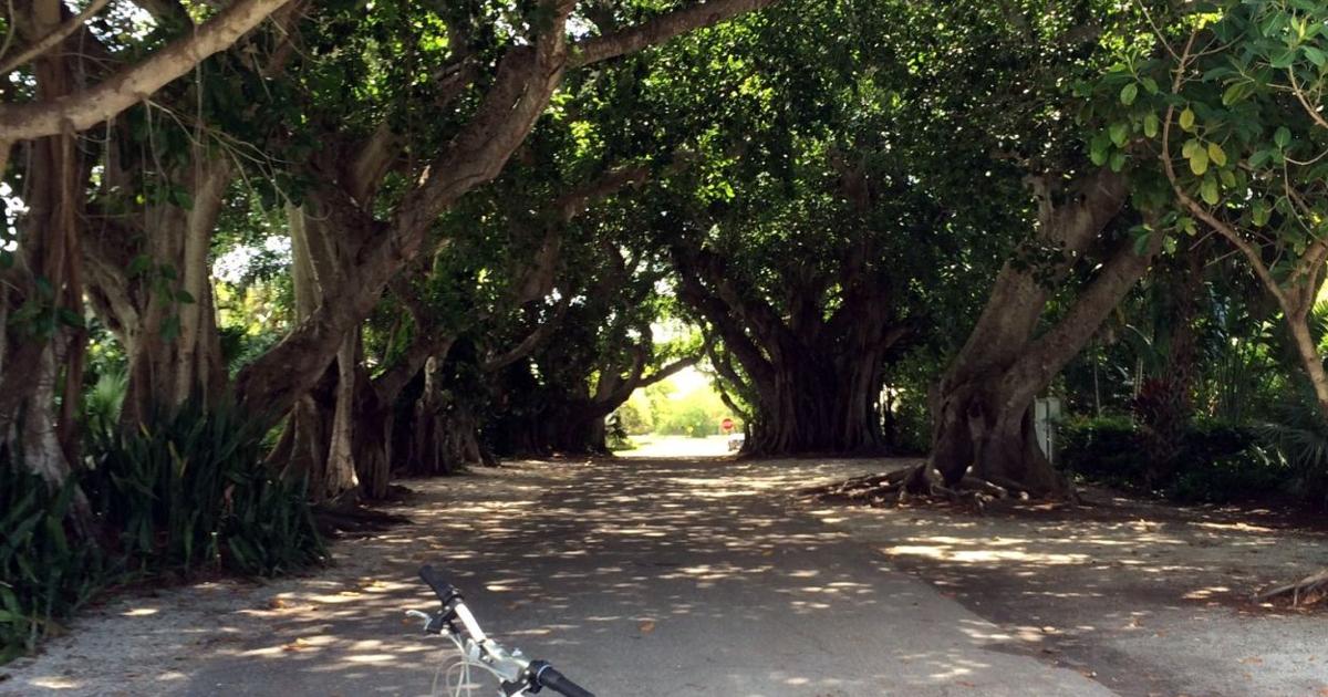 Boca Raton Sun Path Bike Boca’s beautiful path | Newsarchives | yoursun.com