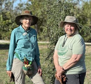 WATERLINE: 'Birds in Our Life' speech set