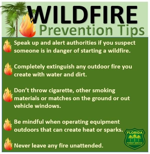 May is National Wildfire Awareness month News