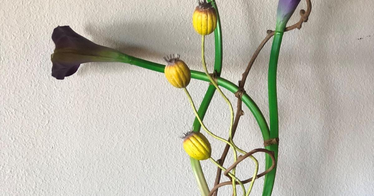 Fusion Botanical Arts opens | Go! | yoursun.com