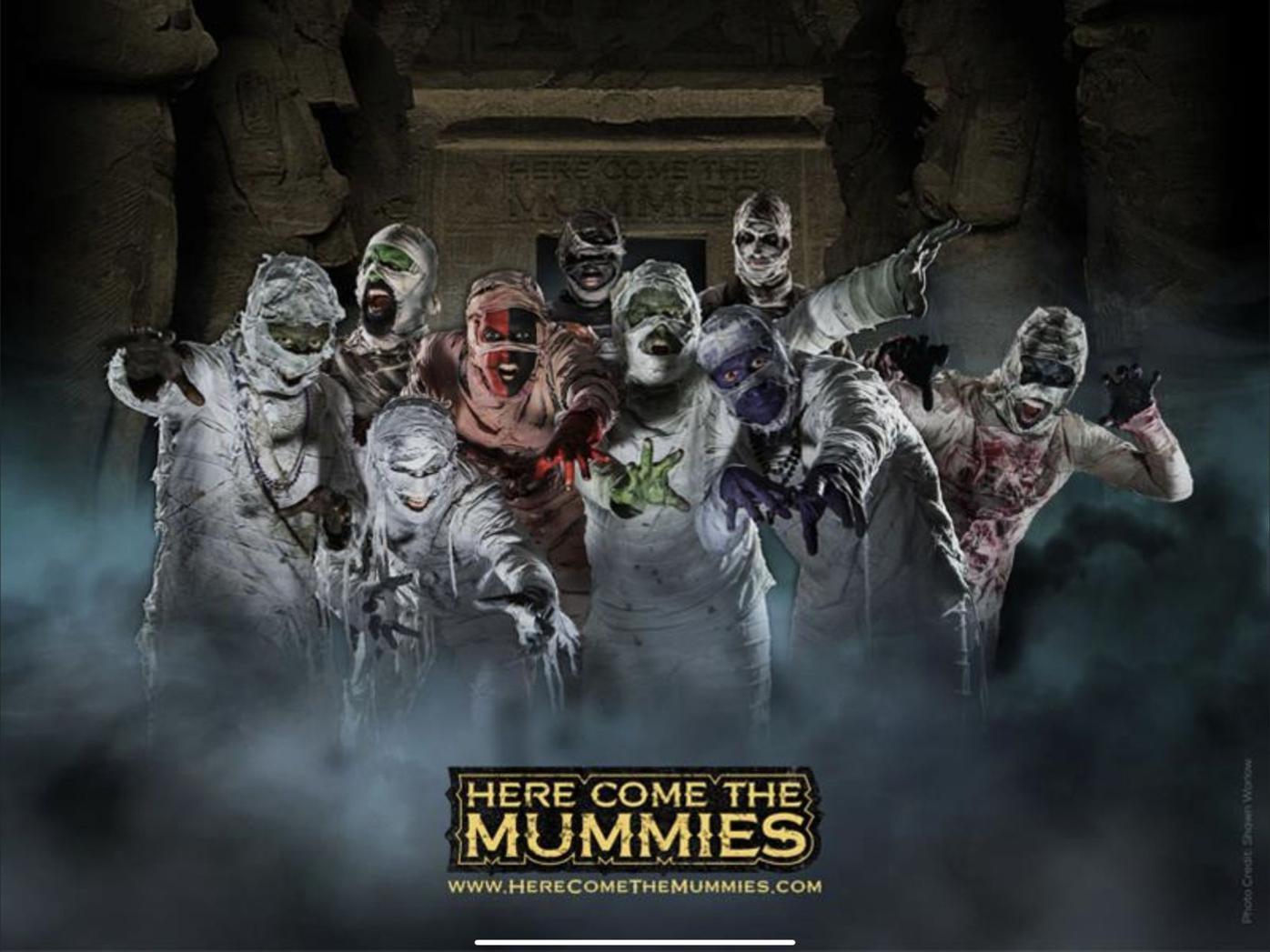 Here come the mummies. Мумия java. Мумия Cover.