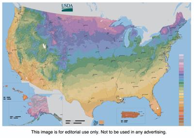 Understand Hardiness Zones Before Planting Features Yoursun Com