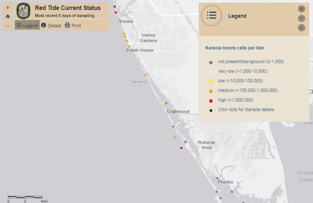 No Escaping Red Tide In Englewood News Yoursun