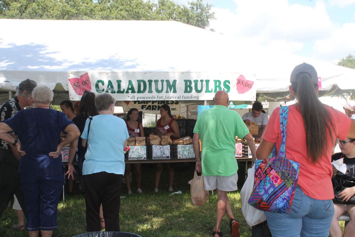 Changing Roles At Festival For Happiness Farms News Yoursun Com