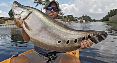 Fishing On The Road Charlotte Harbor Is Awesome But There Are