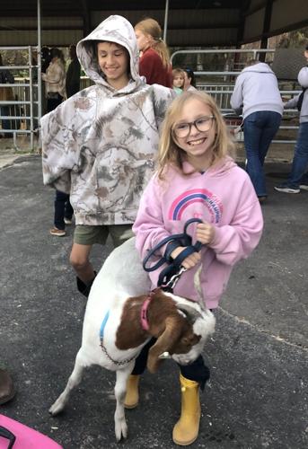 IT'S FAIR TIME: 2026 Charlotte County Fair opens Friday night | Port ...