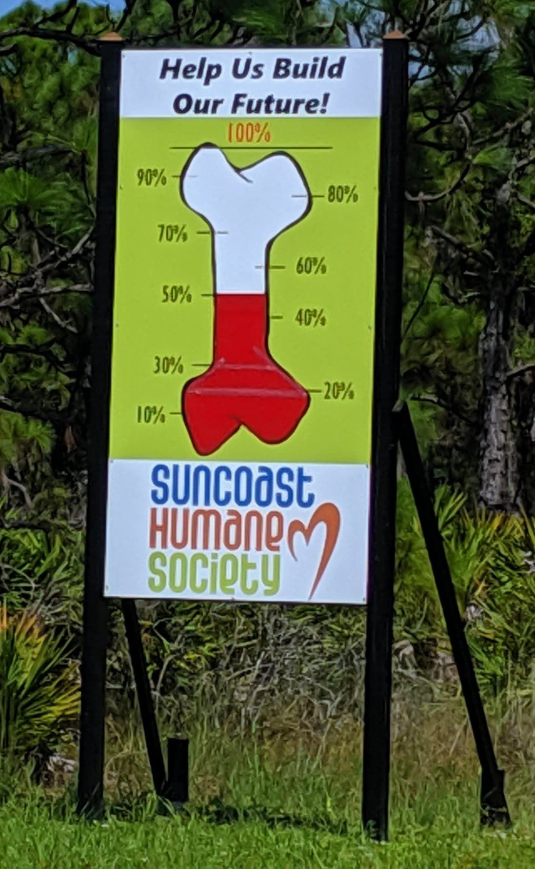 Phil Snyder is leaving the Suncoast Humane Society (copy) | | yoursun.com