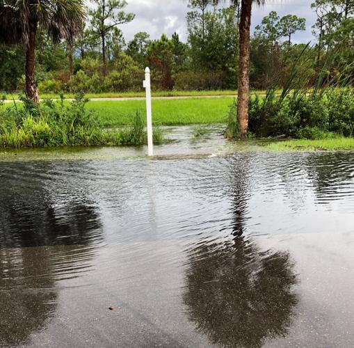 Water runs high but roads stay open post Elsa Latest Weather
