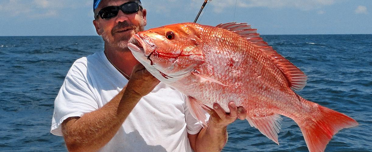 Red snapper season extended for Florida Gulf anglers Waterline